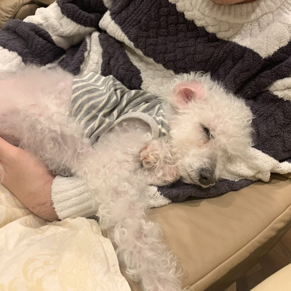 21世紀の吹奏楽 第27回“響宴”に入選