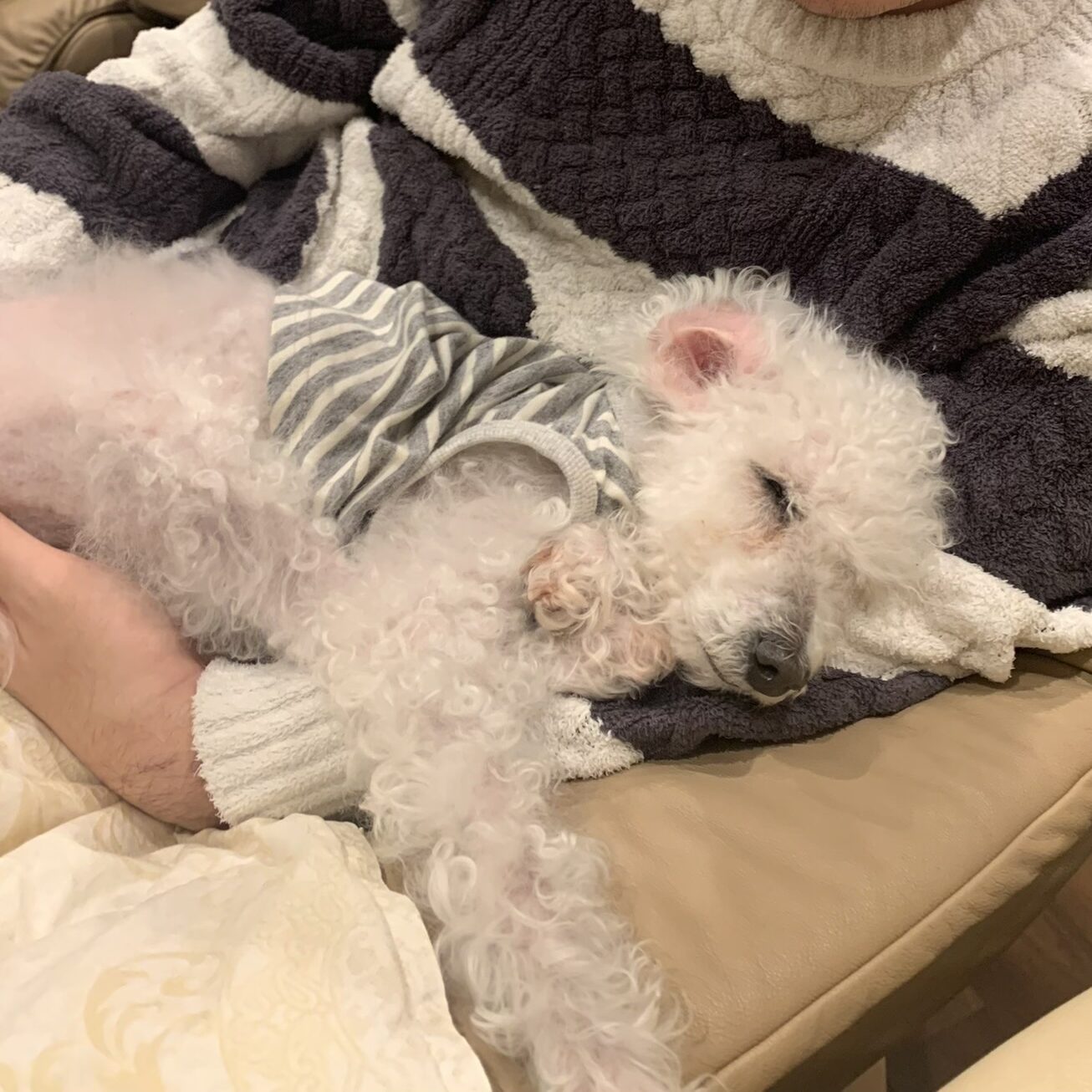 21世紀の吹奏楽 第27回“響宴”に入選